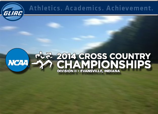 Men and Women’s Cross Country Teams Gear Up For DII Regionals