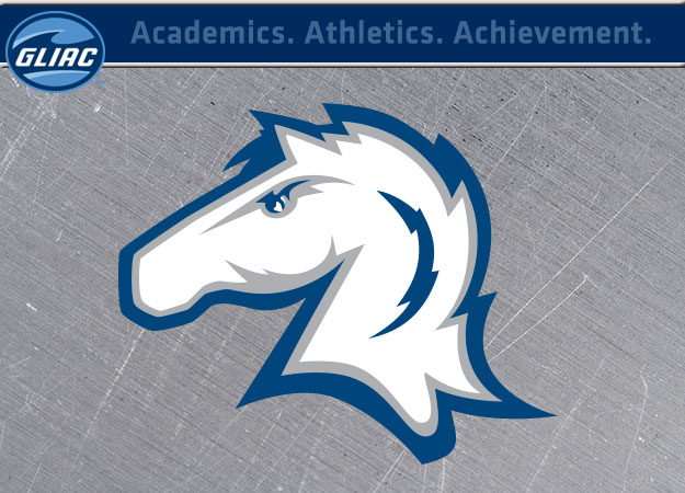 Hillsdale Athletics Earns NCAA Presidents' Award for Academic Excellence