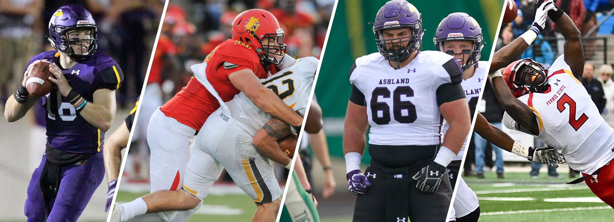 Four #GLIACFB Standouts Earn D2CCA All-America Recognition