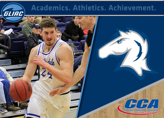 Hillsdale's Cooper Named 2016 D2CCA All-Region Player of the Year; Five GLIAC Standouts Recognized