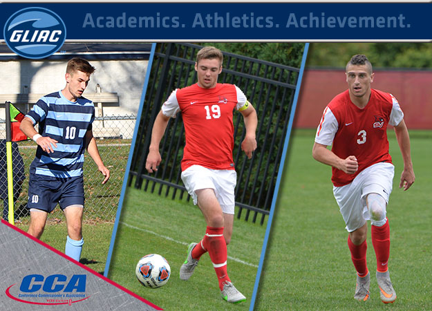 SVSU's Channell, Kalk Capture D2CCA All-America Honors; NU's Levock Honorable Mention
