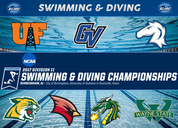GLIAC Swimmers & Divers Earn Trip to Alabama for NCAAs