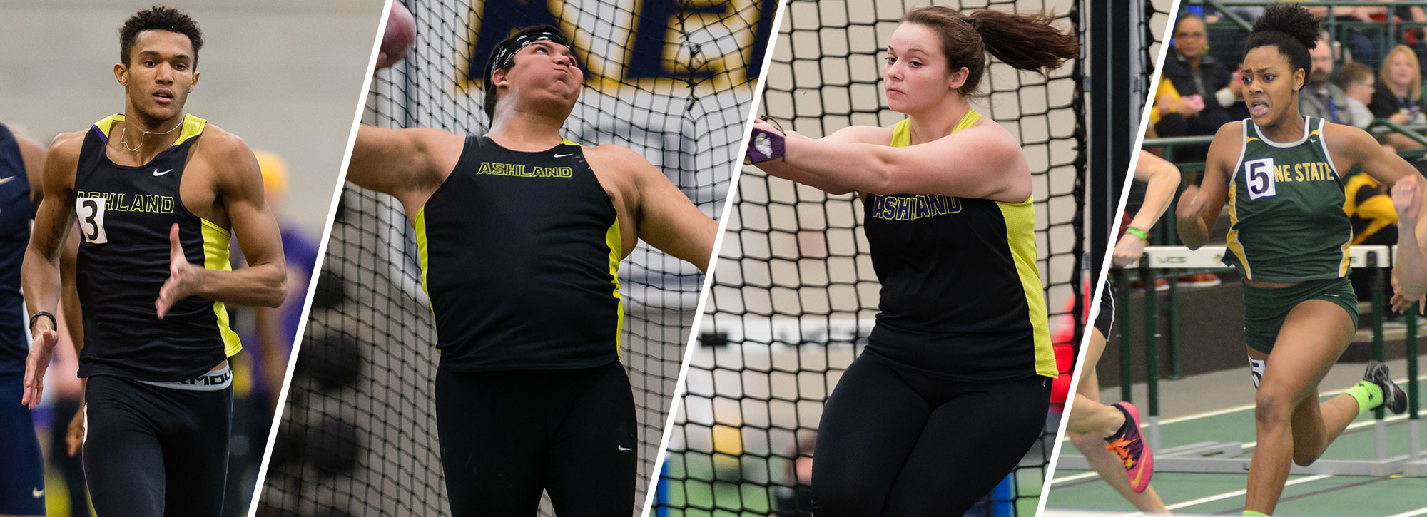 Trio of Eagles, Wayne State's Seals Collect Indoor Track & Field Weekly Honors