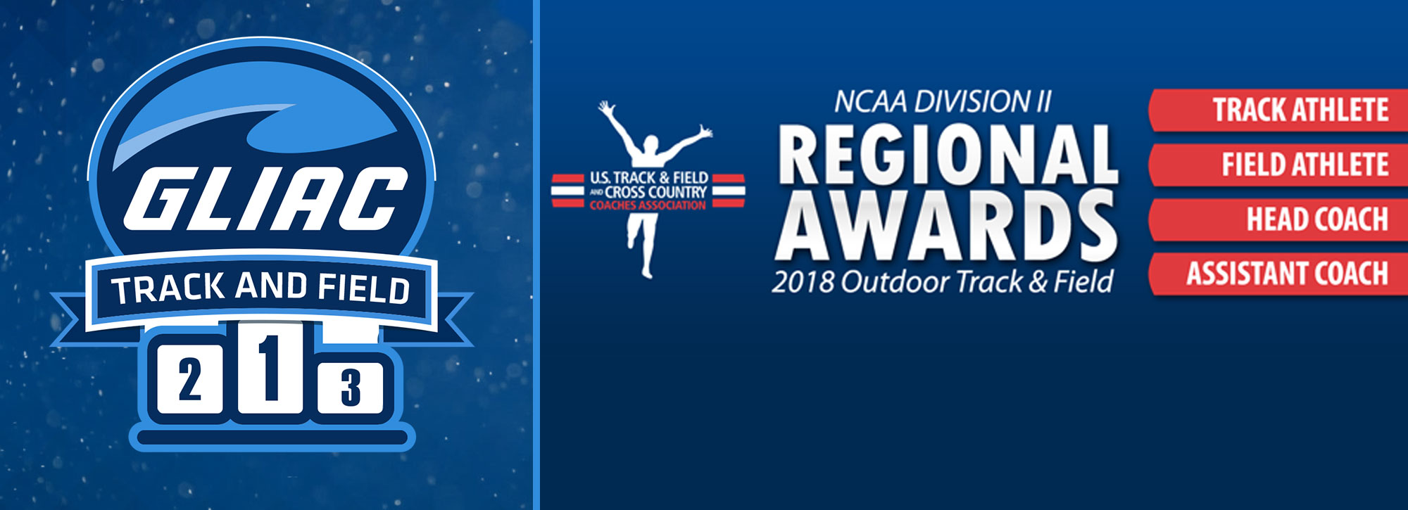 Tiffin's Ngandu Named Midwest Region Athlete of the Year; Three Coaches Honored