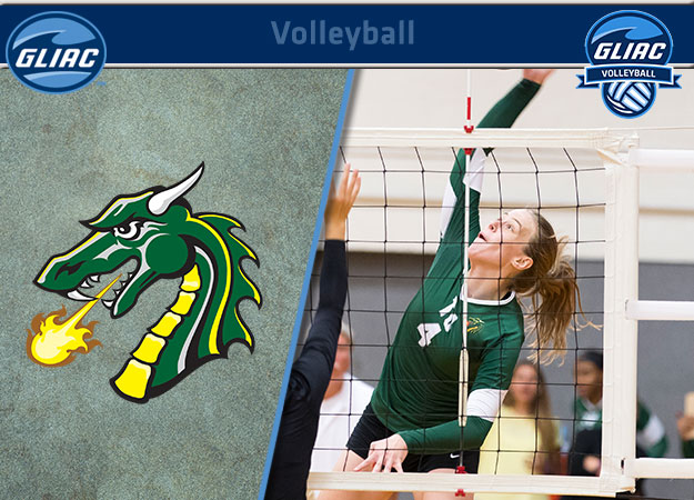 Tiffin's Huffman named Sports Imports/AVCA Player of the Week