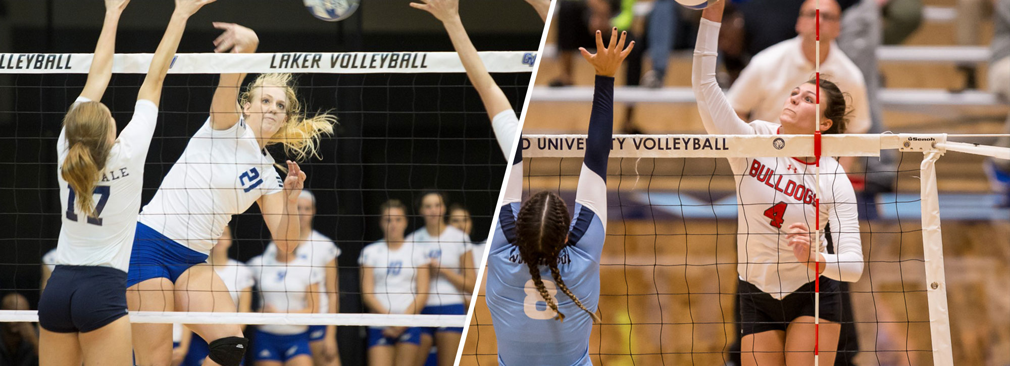 Ferris State's Cappel, Grand Valley State's Brower Named GLIAC Volleyball Players of the Week