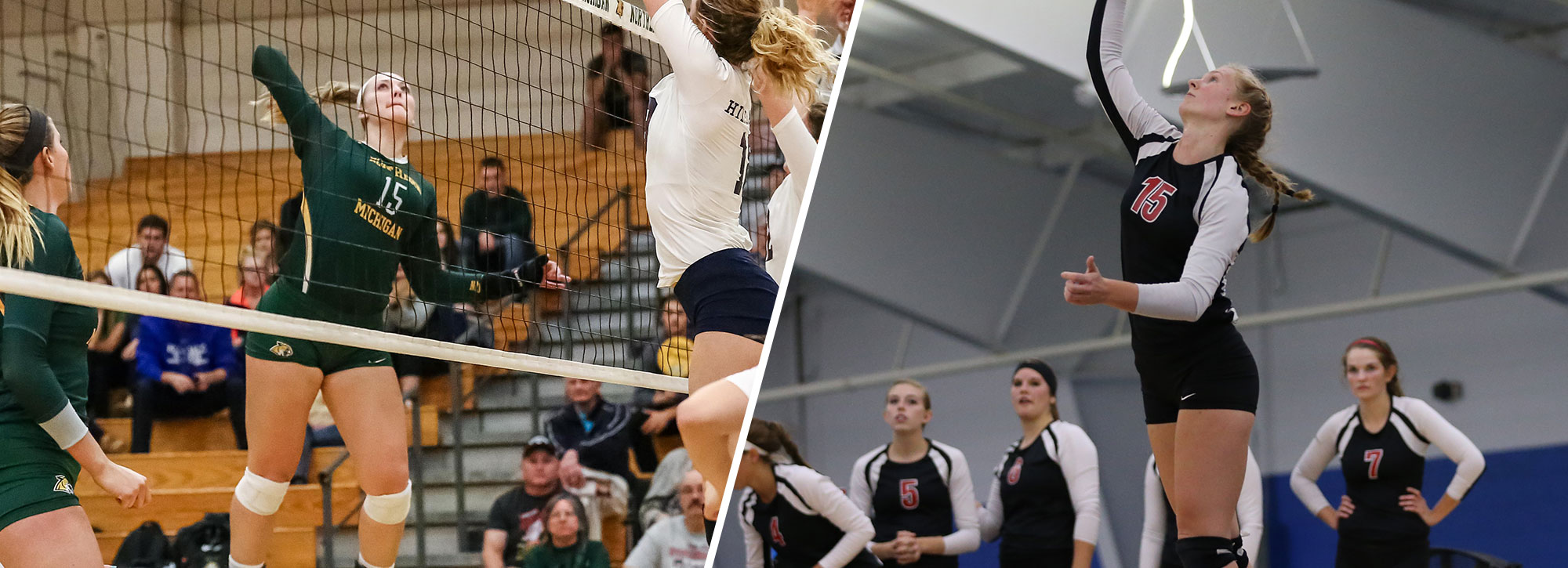 Northern Michigan's Whitehead, Davenport's Dill Earn GLIAC Volleyball Honors