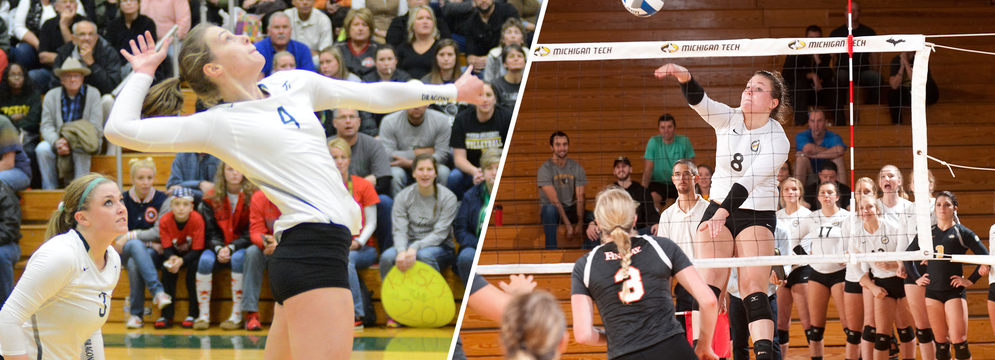 Michigan Tech's Petersen, Tiffin's Huffman Named GLIAC Volleyball Players of the Week