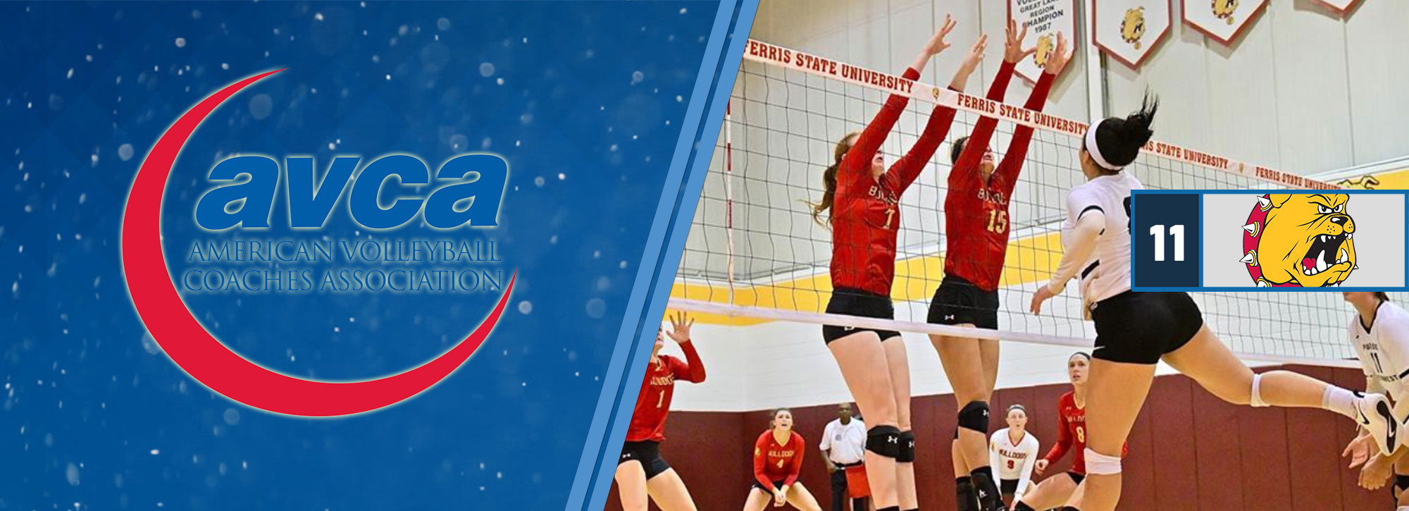 Ferris State Jumps to No. 11 in Latest AVCA Volleyball Rankings