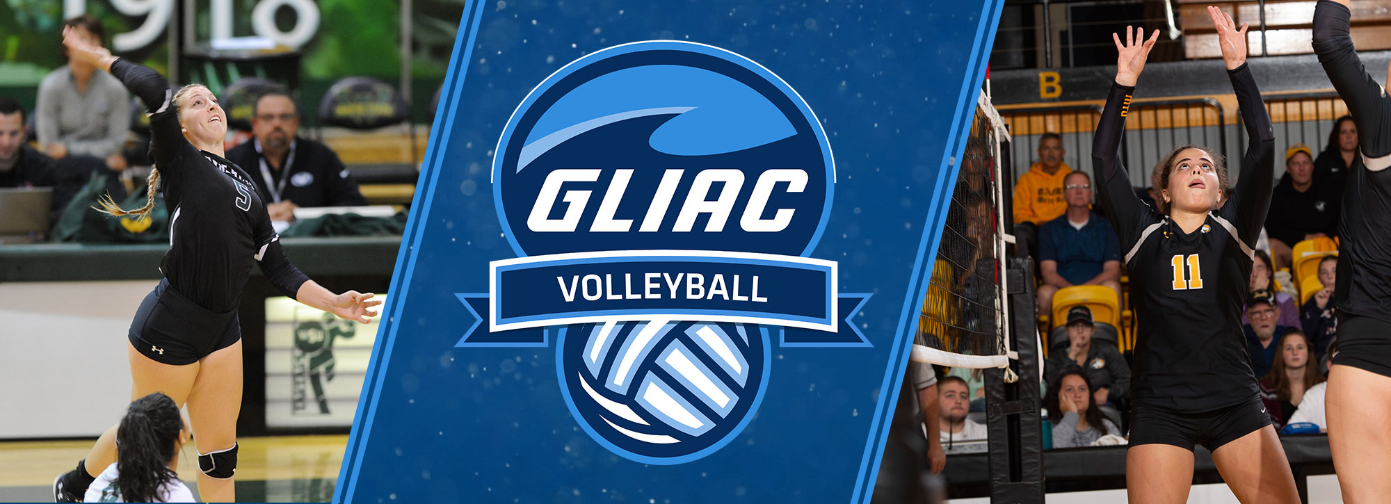 Michigan Tech's DeMarchi, Wayne State's Richardson Earn GLIAC Volleyball Weekly Recognition