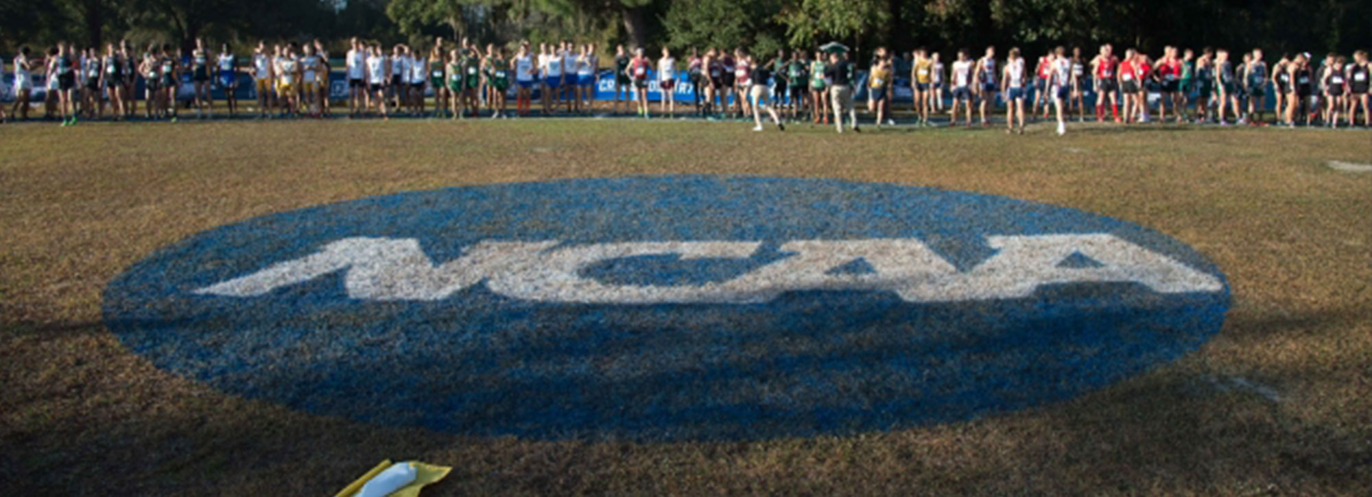 NCAA Cross Country Championships Qualifiers Announced