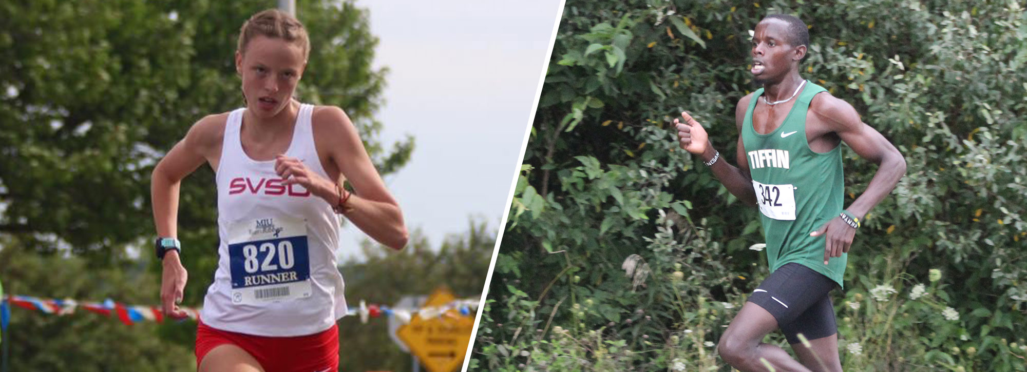 Tiffin's Ngandu, Saginaw Valley's Pawelczyk Land GLIAC Cross Country Athlete of the Week Honors