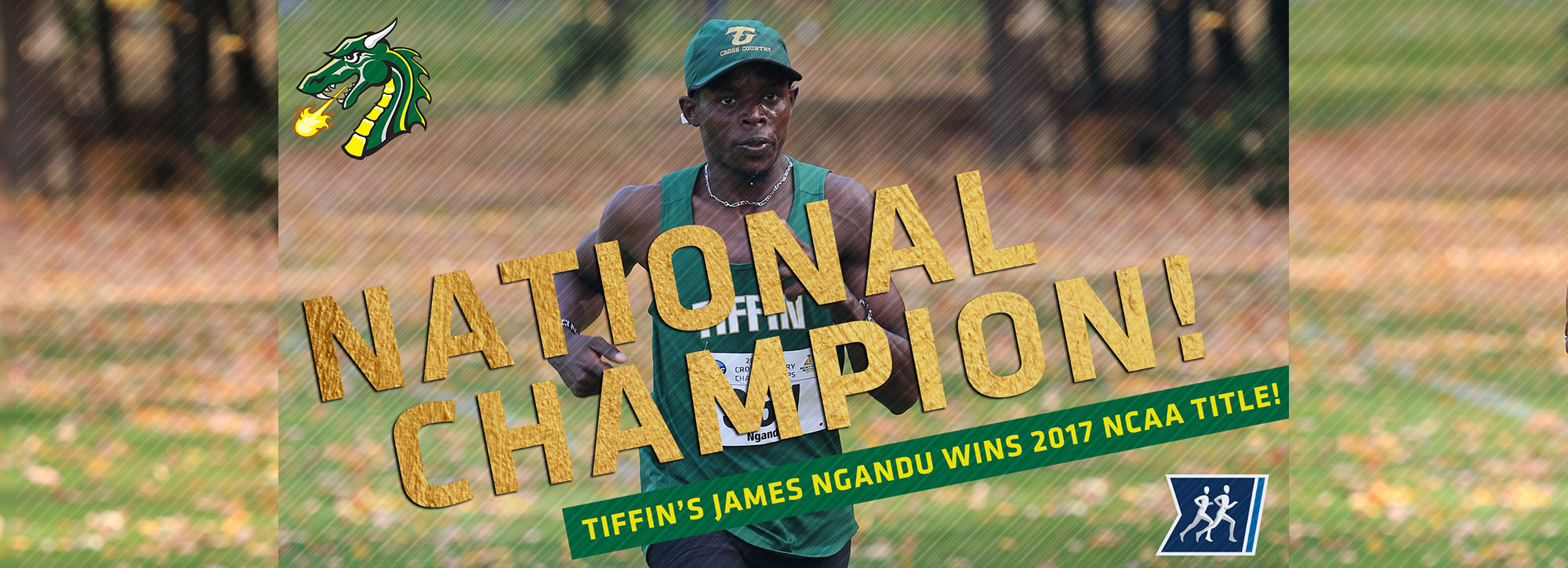 Tiffin's Ngandu Captures 2017 NCAA Division II Men's Cross Country National Championship