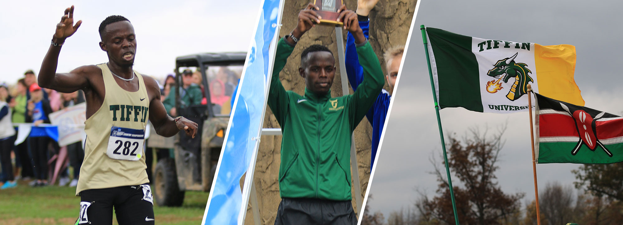 Tiffin's Ngandu Named 2017 USTFCCCA NCAA Division II Cross Country Athlete of the Year