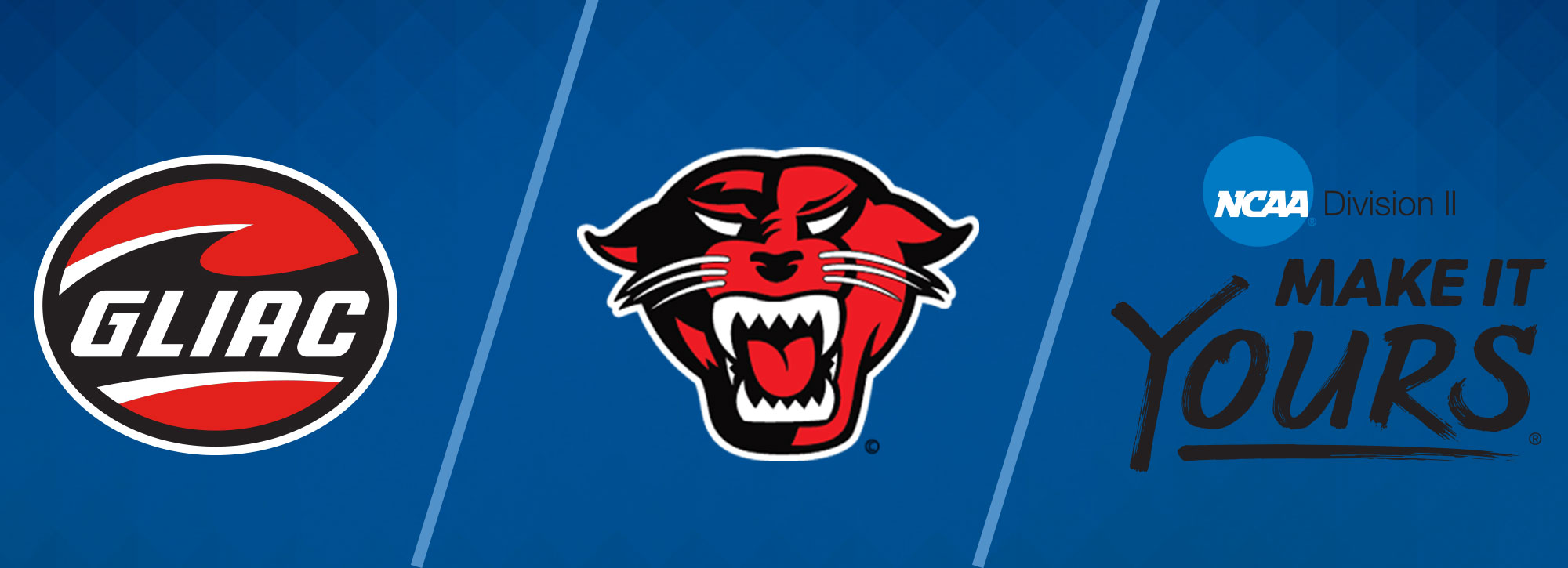 NCAA approves Davenport University for active Division II membership