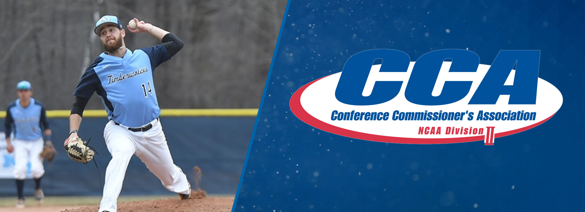 GLIAC Earns Nine D2CCA All-Region Baseball Honorees; NU's Jandron Pitcher of the Year