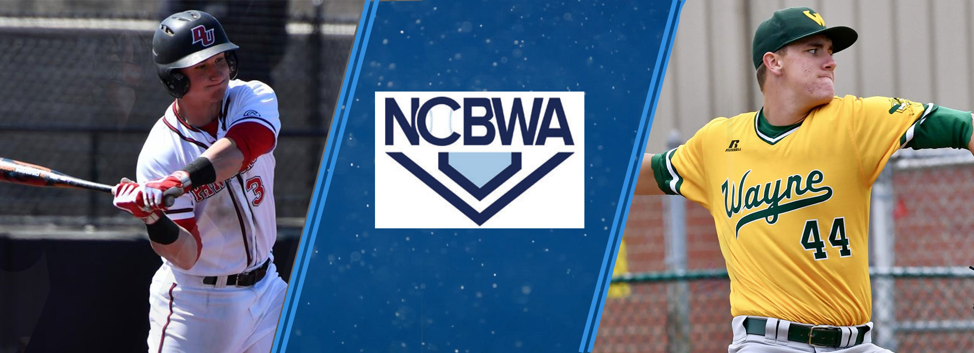 Davenport's Buchberger & Wayne State's Brown Garners NCBWA All-America Honors; Three Named Honorable Mention