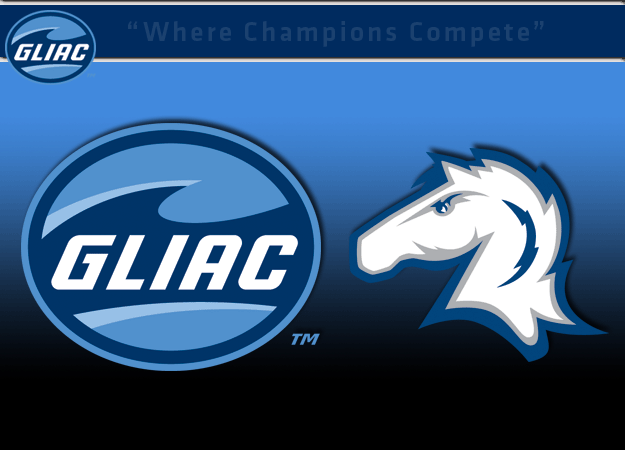 Hillsdale College Claims 2011 GLIAC Football Championship with 42-0 Win over Tiffin Univeristy