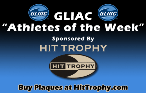 Buy Plaques From HitTrophy.com