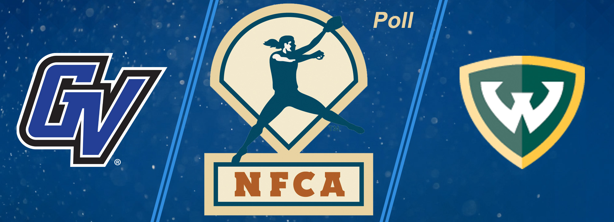 Lakers are ranked 16th in NFCA Pre-Season Coaches' Poll