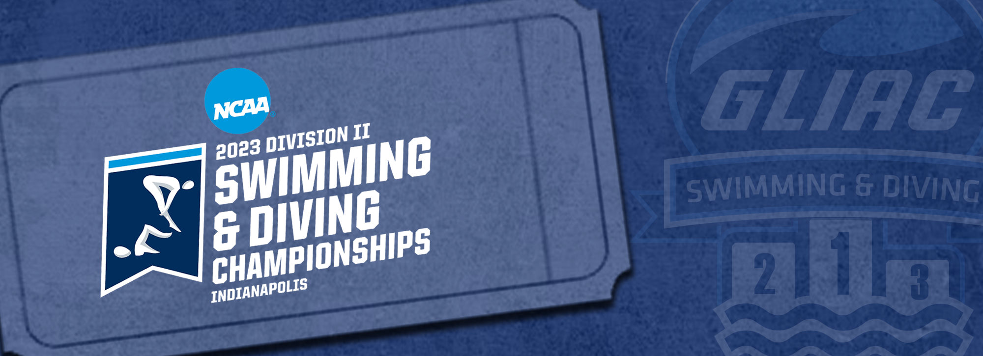 GLIAC swimmers and divers earn bids to NCAA Championships