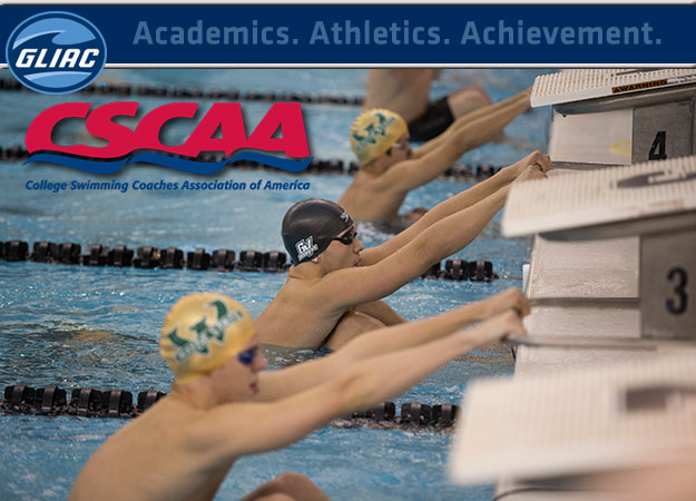 20 GLIAC Swimmers & Divers Named CSCAA Scholar All-America
