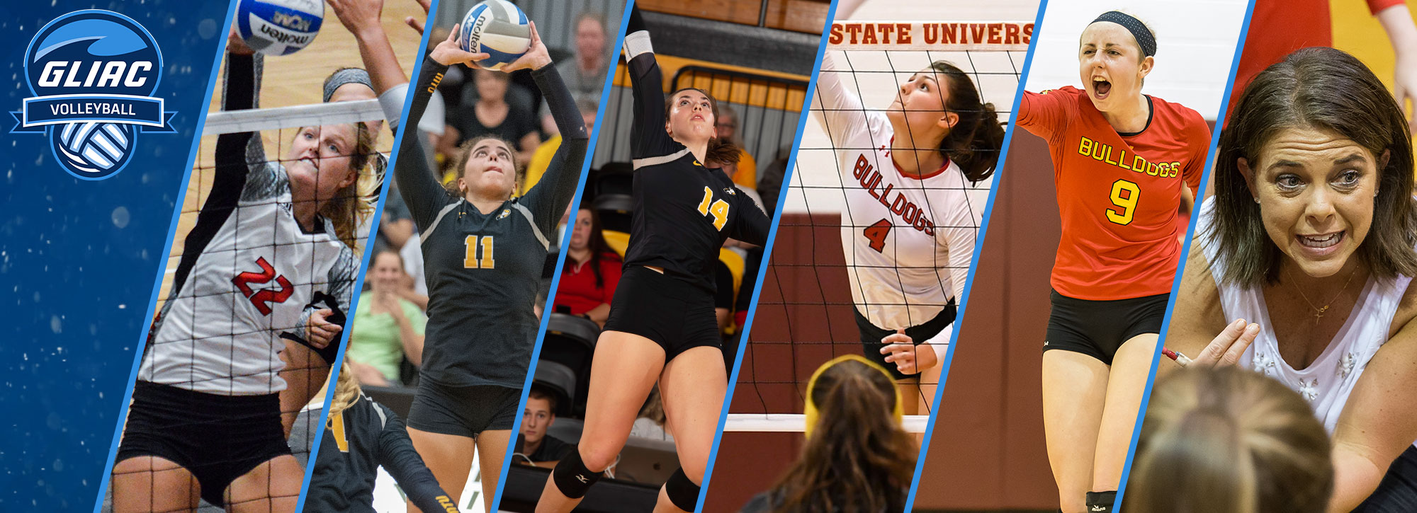 2018 All-GLIAC Volleyball Awards Unveiled; Ferris State's Cappel Selected Player of the Year