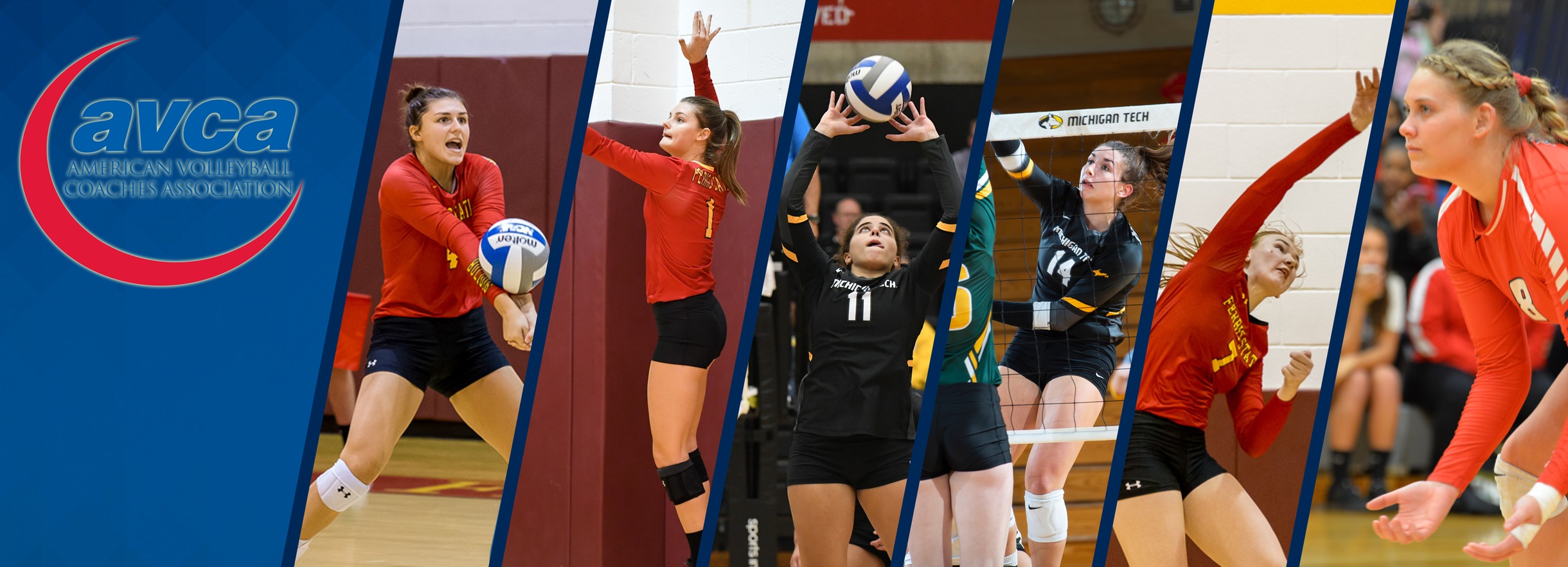 Six Standouts Collect 2019 AVCA All-America Accolades