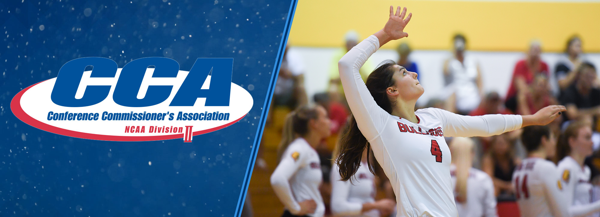 Ferris State's Cappel Selected D2CCA Midwest Region Player of the Year