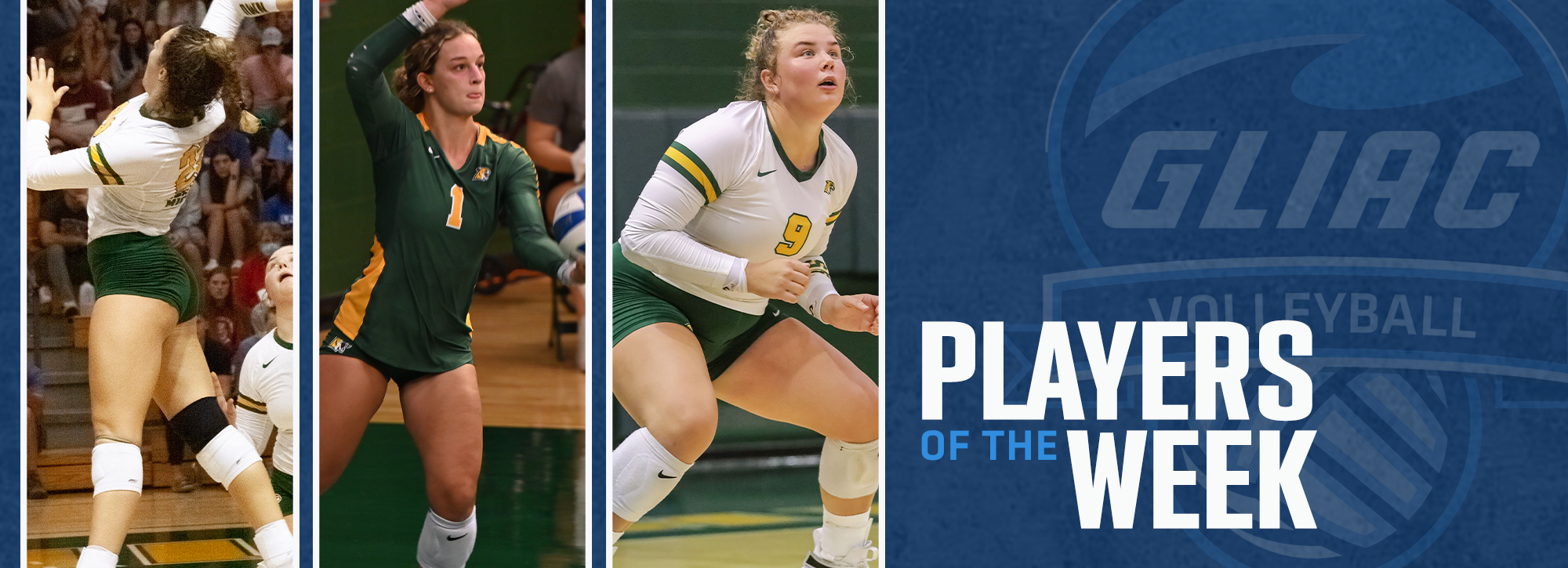 NMU's Meyer, Yacko and Van Remortel honored with GLIAC Volleyball weekly awards