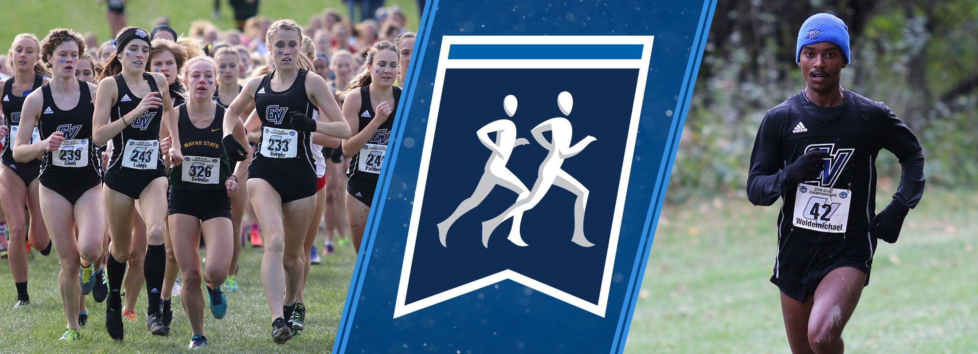 Grand Valley State Sweeps Cross Country Regional Team Titles; GLIAC Runners Dominate