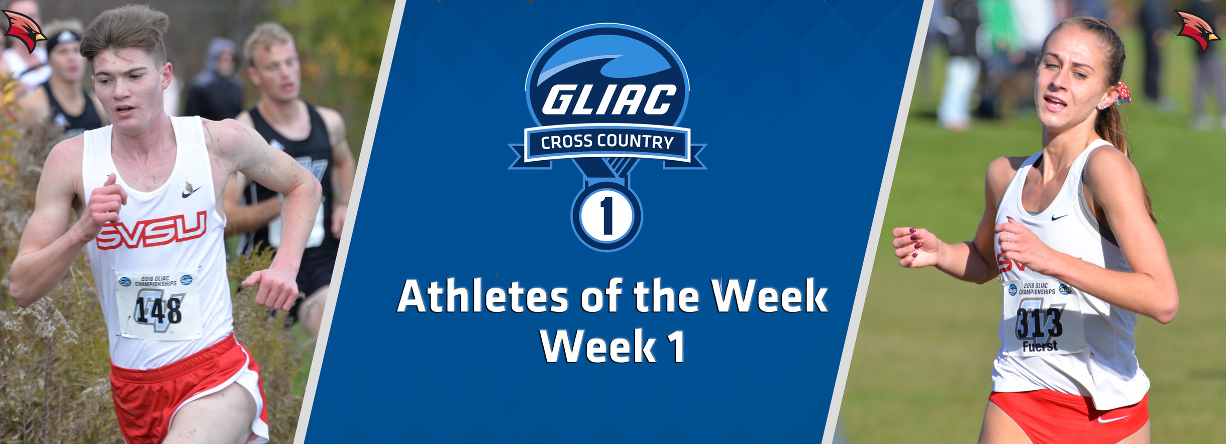 Saginaw Valley's Stimpfel and Fuerst Sweep GLIAC Cross Country Athlete of the Week Accolades
