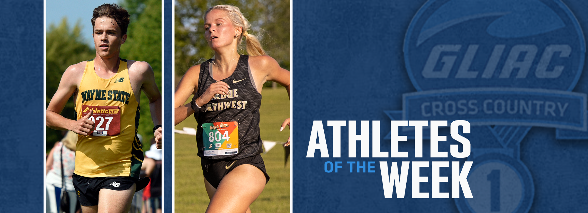 WSU's Allen and PNW's Shaginaw honored with GLIAC weekly cross country awards